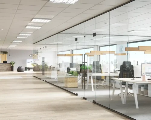 01J8JFKGJX217DXEY8NMWBX85B